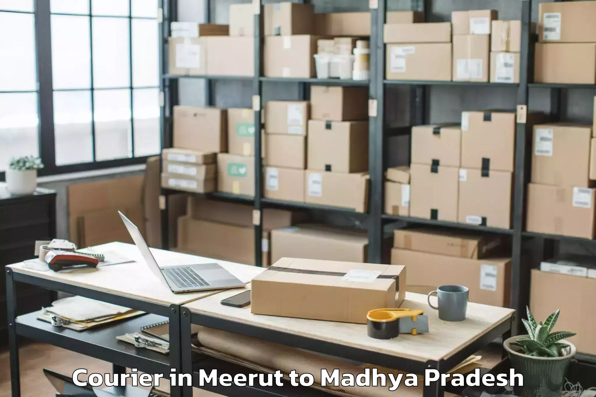 Reliable Meerut to Khilchipur Courier